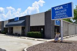 VCA Becker Animal Hospital