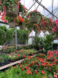 Matkins Flowers & Greenhouse