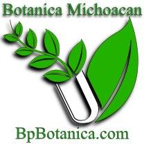 Botanica Michoacan