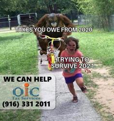 OIC Tax Services