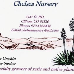 Chelsea Nursery