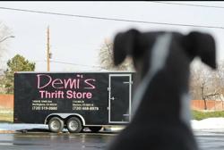 Demi's Treasure & Thrift Store