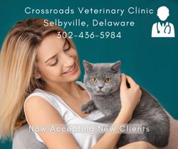 Crossroads Veterinary Clinic: Brandt Chris DVM