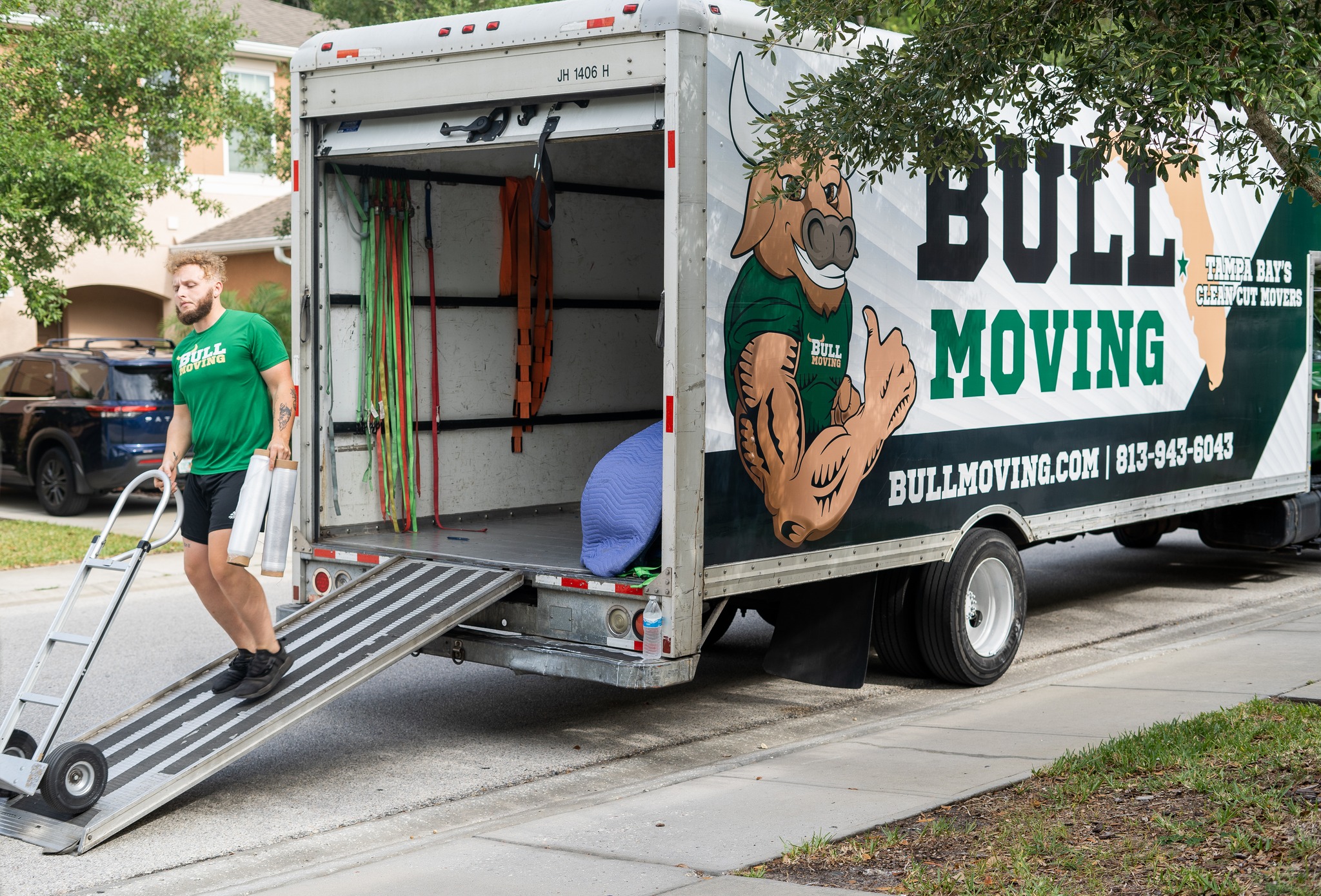 Bull Moving