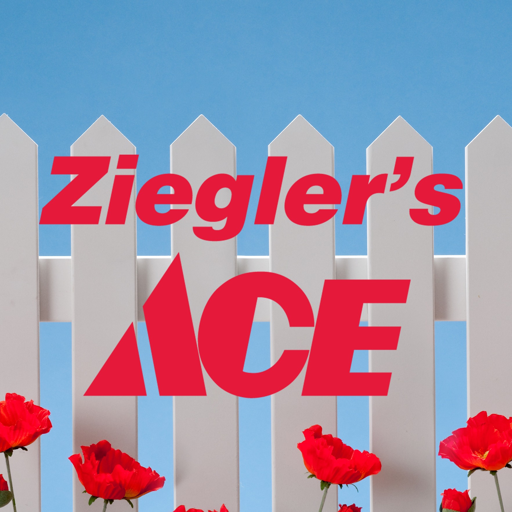 Ziegler's Ace - Cary