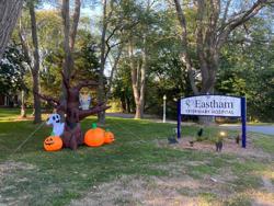 Lower Cape Veterinary Services - Eastham
