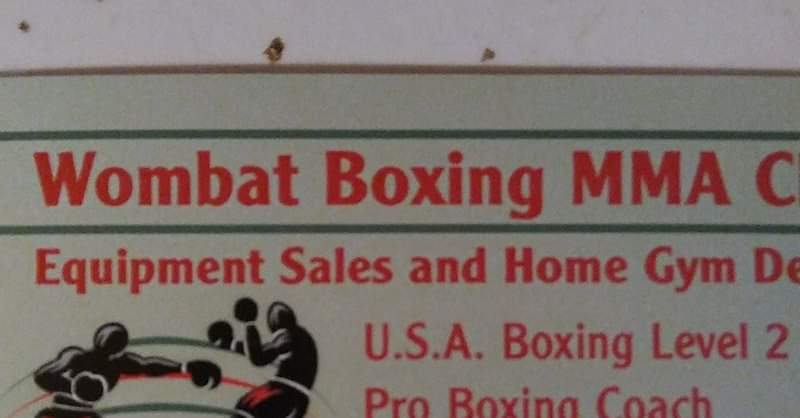 Wombat Boxing academy