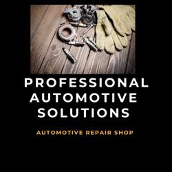 Professional Automotive Solutions