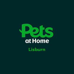 Pets at Home Lisburn