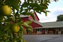 Sage's Apples Orchard And Farm Market | Rt 6