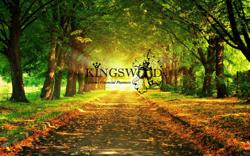 Kingswood Consultants Ltd