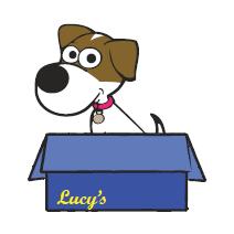 Lucy's Rentals and Storage