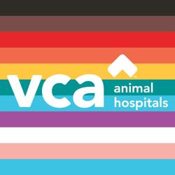 VCA French Creek Animal Hospital