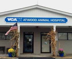 VCA Atwood Animal Hospital: Wyand Wanda DVM