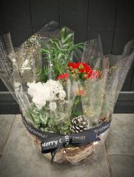 Worle Florists