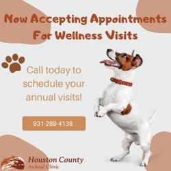Houston County Animal Clinic: Kimmitt Emily DVM