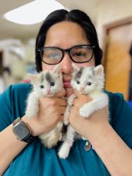 Cherokee Hospital For Animals: Simpkins Robin DVM