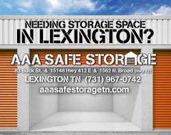 AAA Safe Storage