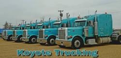Koyote Trucking Co