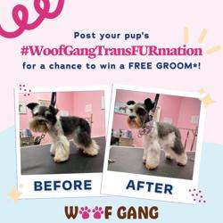 Woof Gang Bakery & Grooming Rockwall