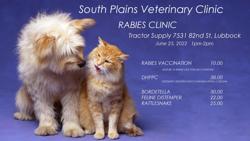 South Plains Veterinary Clinic