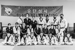 iTiger Taekwondo Academy