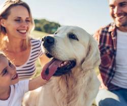 Pets at Home Huddersfield Waterloo