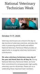Associated Veterinary Clinic: Knoll Melissa DVM