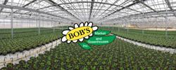 Bob's Market and Greenhouses, Inc. - Mason Store