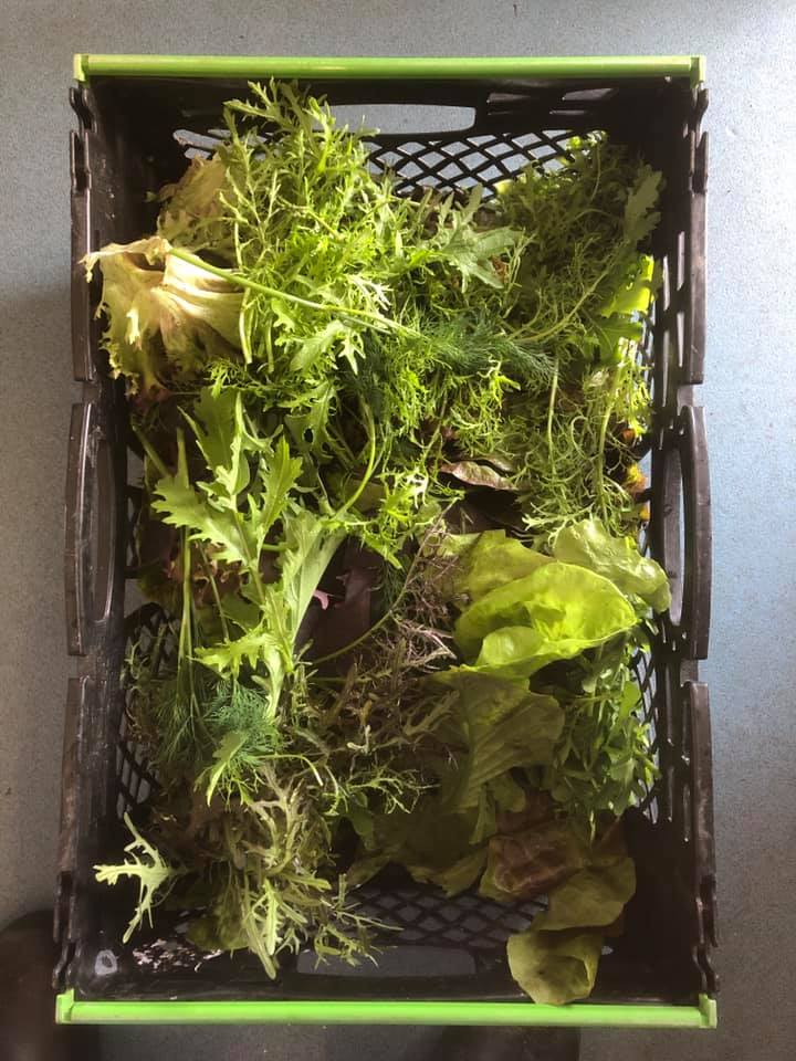 The Anchorstone Cafe