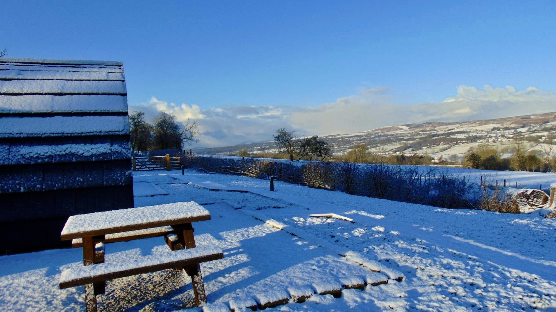 Glamping at greendale & Bed and Breakfast