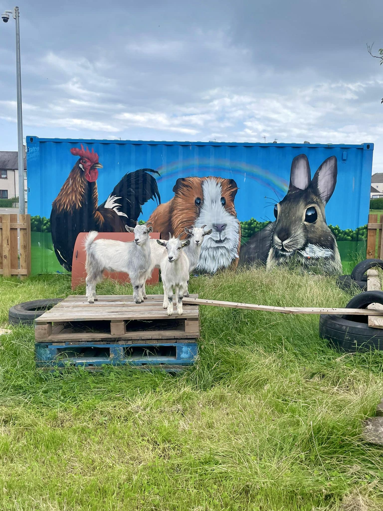 Lunan Farm Shop & Cafe