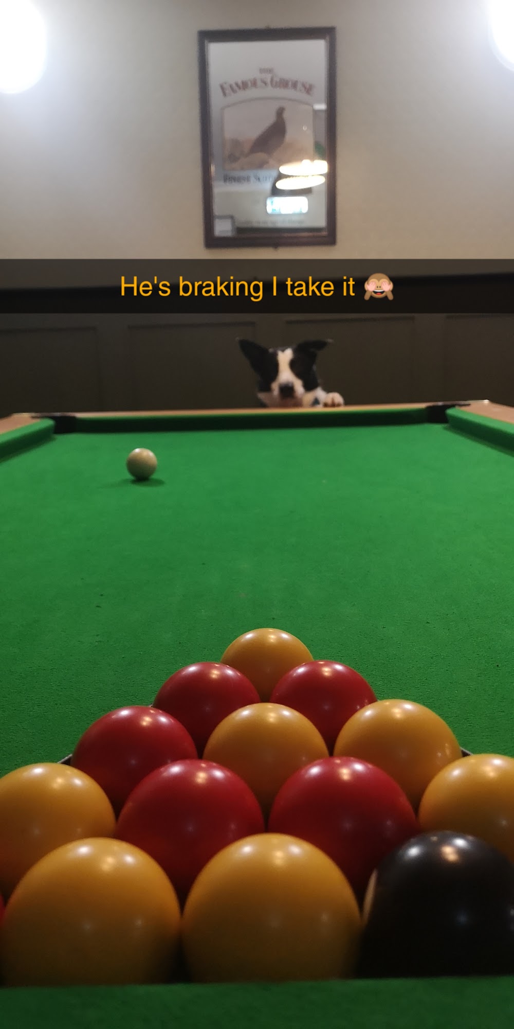 The Drookit Dug