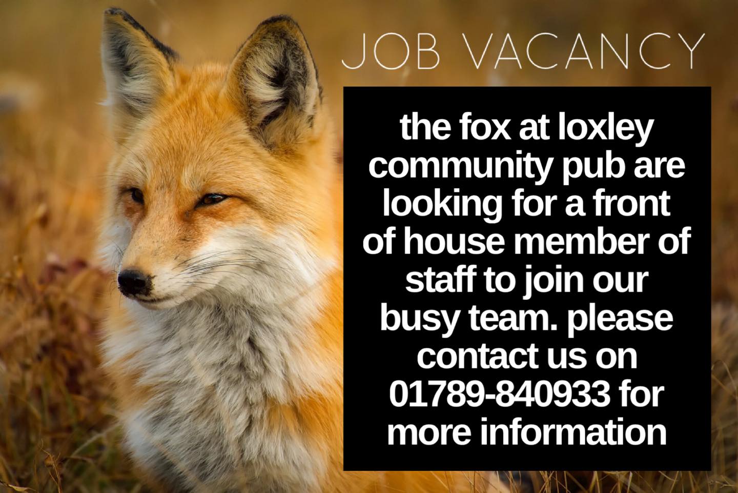 The Fox at Loxley