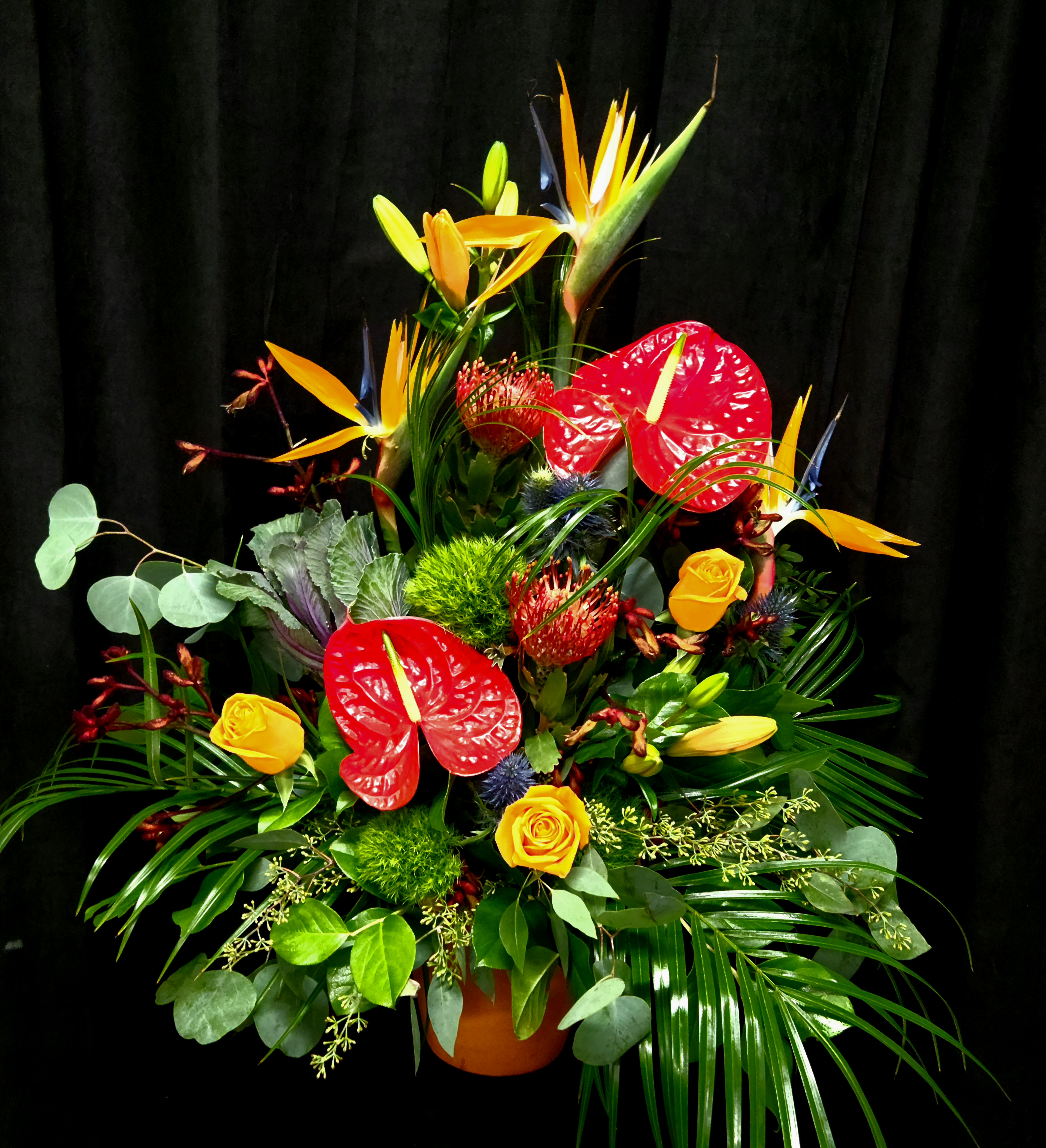 Photo credit: bestprosintown