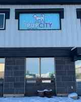 Pup City Doggy Daycare