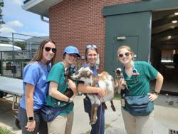 Auburn University Vet Teaching