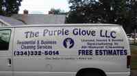THE PURPLE GLOVE LLC