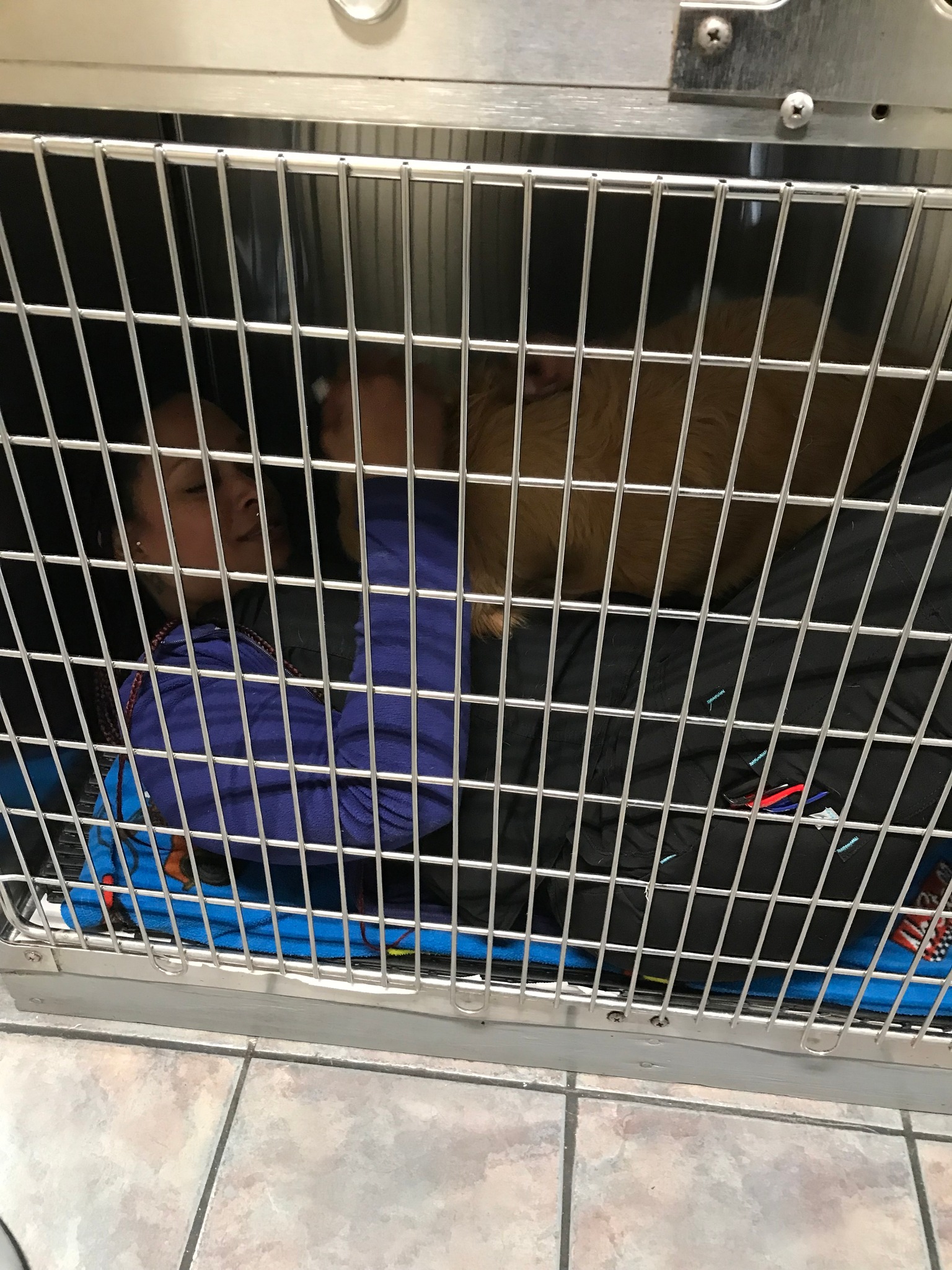 Joseph A. Long, DVM Mobile