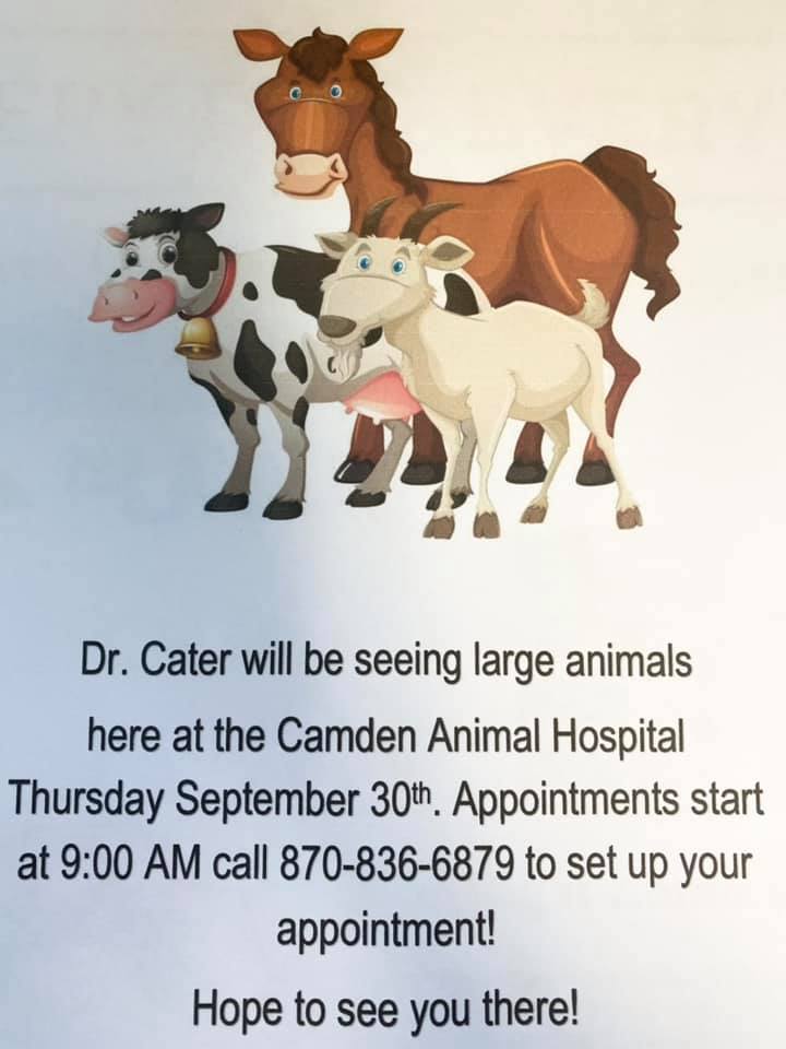 Camden Animal Hospital 1535 California Ave SW, Camden Arkansas 71701