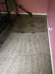 Extra Clean Carpet Cleaning