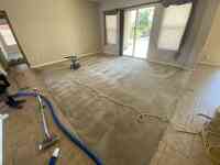 Glendale AZ Shaw Carpet Cleaning