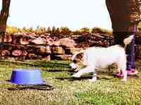 Payson Dog Training