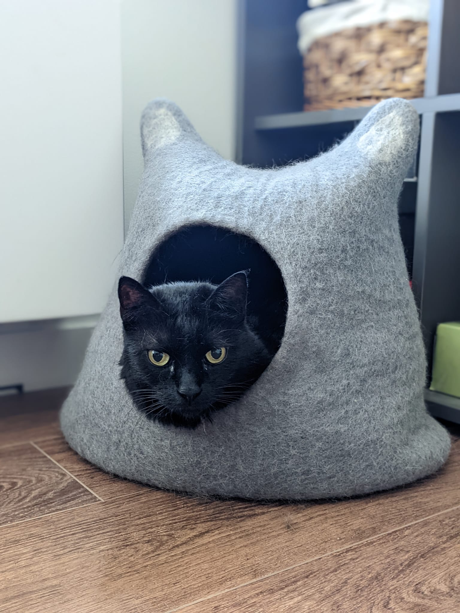 Furkids Pet Care North Vancouver