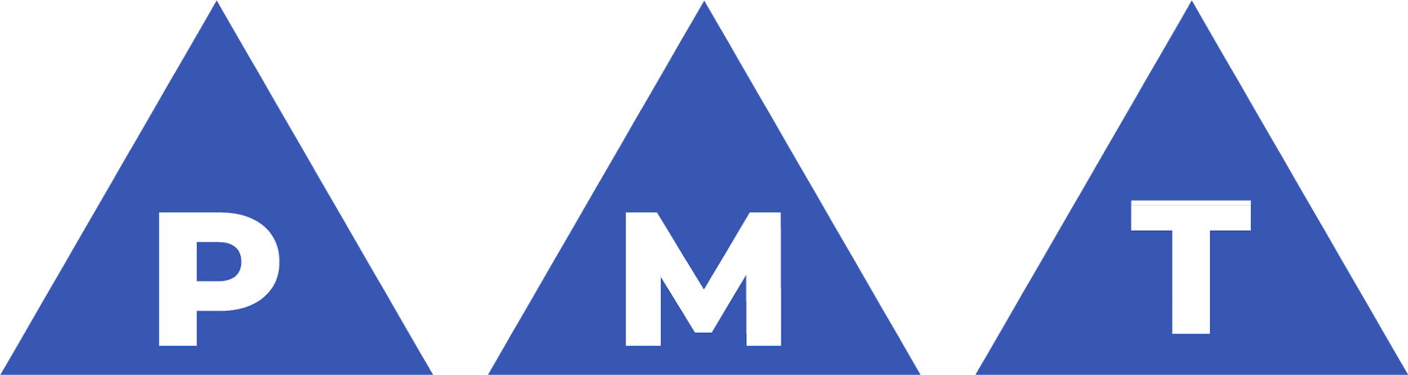 PMT Chartered Professional Accountants LLP