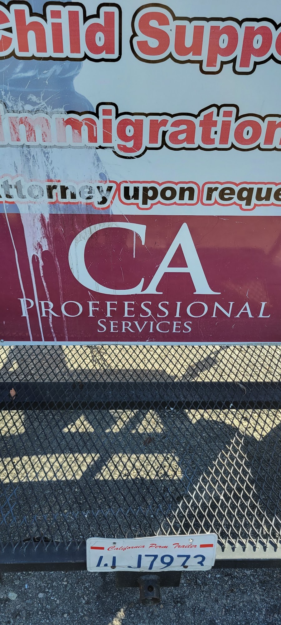 Professional Accounting Services