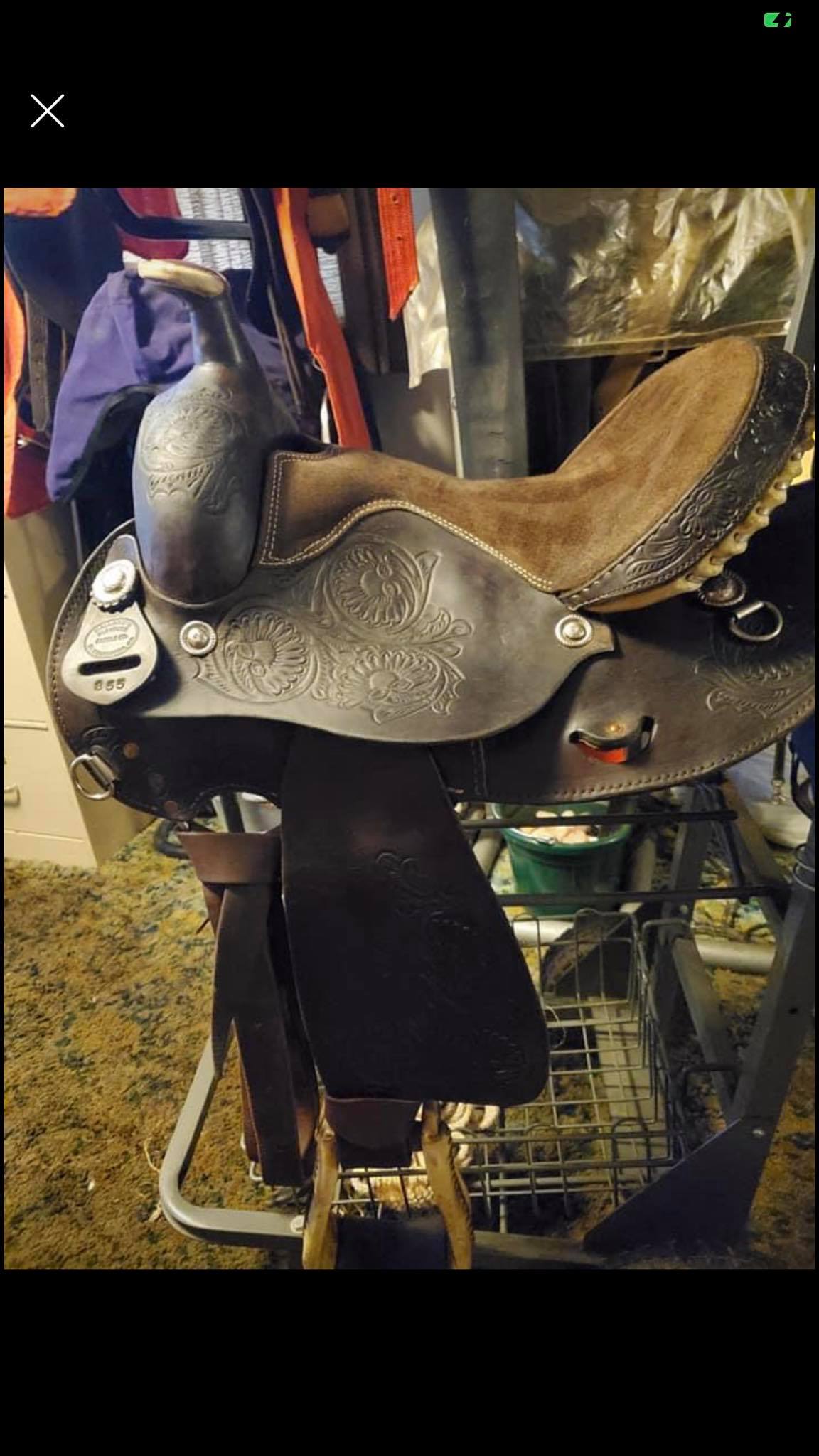 Lorraine Pet Supply Anza