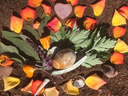 Manzanita Wellness Clinic