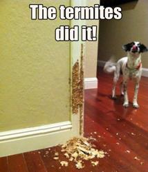 Jennings Termite & Pest Control