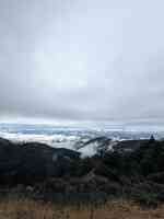 Grotewolds Carpet Station